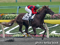 カラープリント(アルミ枠なし)2016年11月19日東京4R 2歳新馬(アスタースウィング)