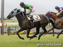 カラーパネル2016年11月19日福島8R 3歳上500万下(タガノガジュマル)