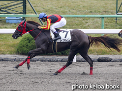 カラーパネル2016年11月20日京都2R 2歳未勝利(レンレン)