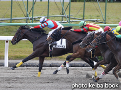 カラーパネル2016年11月20日京都8R 3歳上1000万下(ピットボス)