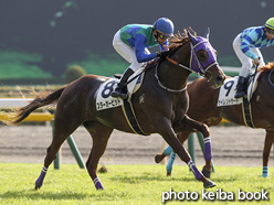 カラープリント(アルミ枠付き)2016年11月20日東京3R 2歳未勝利(スターオービット)