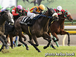 カラープリント(アルミ枠付き)2016年11月20日東京9R 赤松賞(コーラルプリンセス)