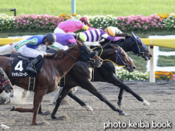 カラーパネル2016年11月20日東京11R 霜月ステークス(ラストダンサー)