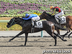 カラープリント(アルミ枠付き)2016年11月20日福島6R 3歳上500万下(エンクエントロス)