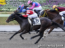 カラーパネル2016年11月20日福島8R 3歳上500万下(オーロラッシュ)