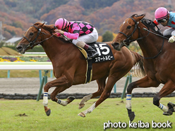 カラープリント(アルミ枠付き)2016年11月20日福島10R 土湯温泉特別(スマートルビー)