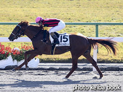 カラープリント(アルミ枠付き)2016年11月26日京都1R 2歳未勝利(エイシンルカーノ)