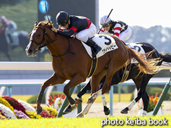 カラープリント(アルミ枠なし)2016年11月26日京都3R 2歳未勝利(クライベイビー)