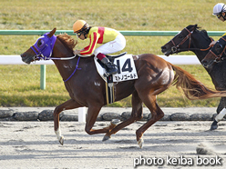 カラーパネル2016年11月26日京都8R 3歳上500万下(ミトノゴールド)