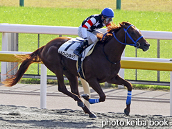 カラーパネル2016年11月26日東京1R 2歳未勝利(ドルフィンキック)