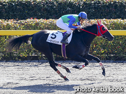 カラープリント(アルミ枠なし)2016年11月26日東京4R 障害未勝利(トーセンメリッサ)