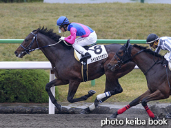 カラープリント(アルミ枠付き)2016年11月27日京都1R 2歳未勝利(メイショウオオヅツ)