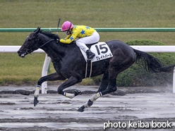 カラープリント(アルミ枠なし)2016年11月27日京都8R 3歳上1000万下(グレイトパール)