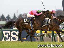 カラープリント(アルミ枠なし)2016年11月27日東京10R ウェルカムステークス(ナスノセイカン)