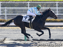 カラーパネル2016年12月3日中京1R 2歳未勝利(ブラックジェイド)