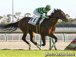 カラーパネル2016年12月3日中京7R 3歳上500万下(アースコレクション)