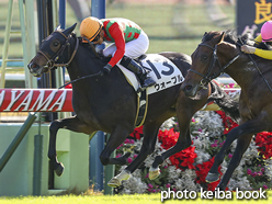 カラーパネル2016年12月3日中山3R 2歳未勝利(ウォーブル)