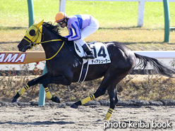 カラーパネル2016年12月3日中山4R 2歳未勝利(ディアシューター)