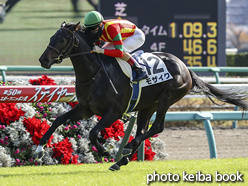 カラープリント(アルミ枠付き)2016年12月3日中山5R 2歳新馬(モザイク)