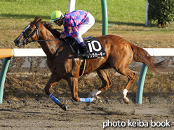 カラープリント(アルミ枠付き)2016年12月3日中山10R 舞浜特別(チュラカーギー)