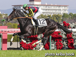 カラープリント(アルミ枠なし)2016年12月4日阪神3R 2歳未勝利(アウステルリッツ)