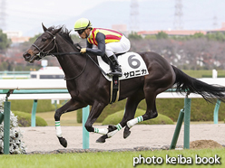 カラープリント(アルミ枠なし)2016年12月4日阪神5R 2歳新馬(サロニカ)