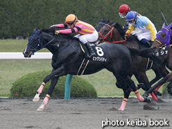 カラープリント(アルミ枠付き)2016年12月4日阪神10R 妙見山ステークス(ビッグリバティ)