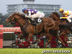 カラープリント(アルミ枠付き)2016年12月4日阪神11R タンザナイトステークス(サンライズメジャー)