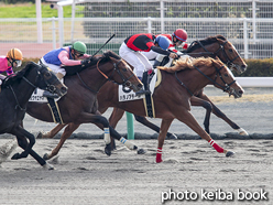 カラーパネル2016年12月4日中京1R 2歳未勝利(ハタノアデール)