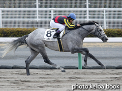 カラーパネル2016年12月4日中京7R 3歳上500万下(モンドアルジェンテ)