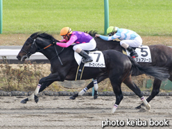 カラーパネル2016年12月4日中山5R 2歳新馬(サーストンウィナー)