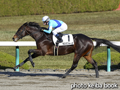 カラーパネル2016年12月10日阪神3R 2歳未勝利(タスクフォース)