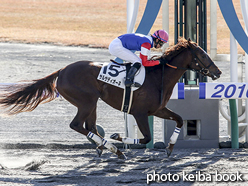 カラープリント(アルミ枠付き)2016年12月10日中京1R 2歳未勝利(サルサディオーネ)