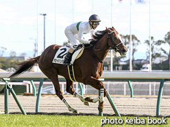 カラープリント(アルミ枠なし)2016年12月10日中京4R 障害未勝利(ポセイドンバローズ)