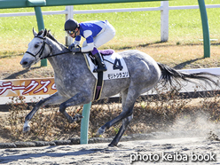 カラープリント(アルミ枠付き)2016年12月10日中山2R 2歳未勝利(モリトシラユリ)