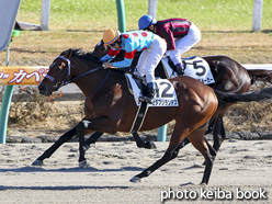 カラープリント(アルミ枠付き)2016年12月10日中山6R 2歳新馬(セダブリランテス)