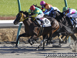 カラープリント(アルミ枠付き)2016年12月10日中山8R 3歳上1000万下(スズカアーサー)