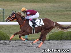 カラープリント(アルミ枠付き)2016年12月11日阪神6R 2歳新馬(スターカットダイヤ)