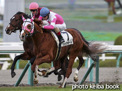 カラープリント(アルミ枠付き)2016年12月11日阪神8R 3歳上500万下(ショウボート)