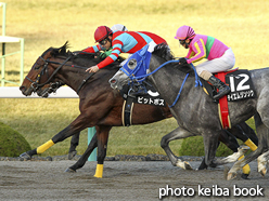 カラープリント(アルミ枠付き)2016年12月11日阪神10R 堺ステークス(ピットボス)