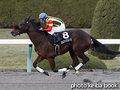 カラープリント(アルミ枠なし)2016年12月11日阪神12R 夙川特別(エルフィンコーブ)