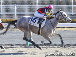 カラープリント(アルミ枠なし)2016年12月11日中京6R 3歳上500万下(シルバーポジー)