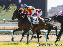 カラープリント(アルミ枠付き)2016年12月11日中山3R 2歳未勝利(ジュリエットベール)