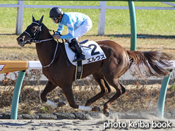 カラープリント(アルミ枠なし)2016年12月11日中山6R 2歳新馬(エルヴス)