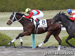 カラーパネル2016年12月17日阪神7R 3歳上500万下(ディライトフル)