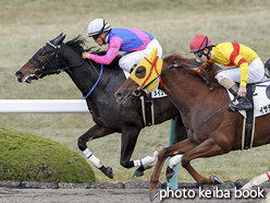 カラープリント(アルミ枠付き)2016年12月17日阪神8R 3歳上500万下(メイショウタラチネ)