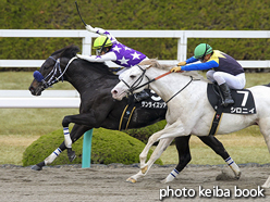 カラーパネル2016年12月17日阪神9R 樅の木賞(サンライズソア)