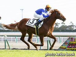 カラーパネル2016年12月17日中京6R 2歳未勝利(アサケハーツ)