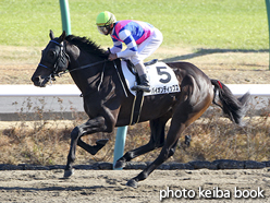 カラープリント(アルミ枠なし)2016年12月17日中山7R 3歳上500万下(バイオンディップス)