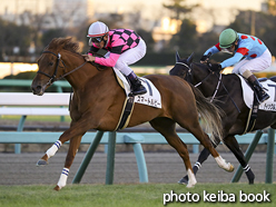 カラープリント(アルミ枠なし)2016年12月17日中山12R 3歳上1000万下(スマートルビー)